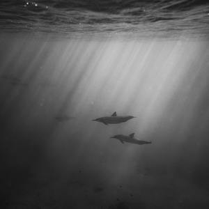 91户外露出合集
